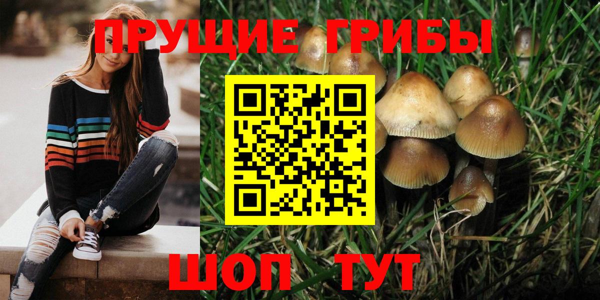 Ишим  Галлюциногенные грибы Magic Shrooms  Вход с VPN  Псилоцибиновые грибы Psilocybine cubensis 